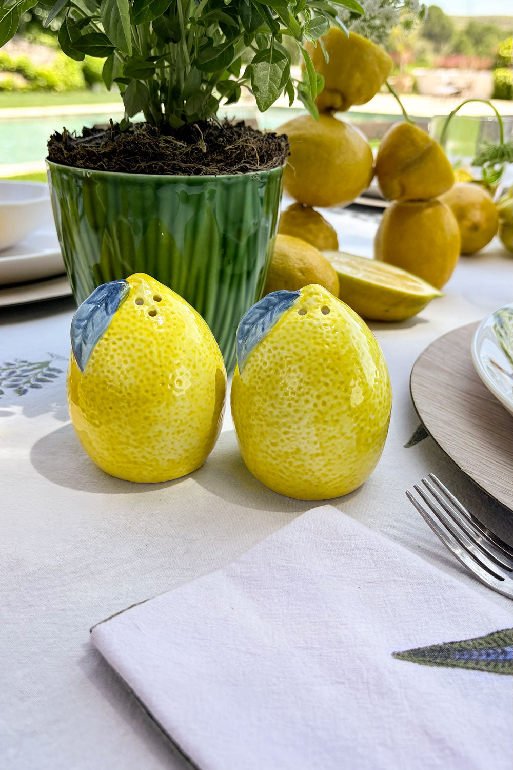 Detalles Set Salero & Pimentero Diseño Limones Cristina Oria