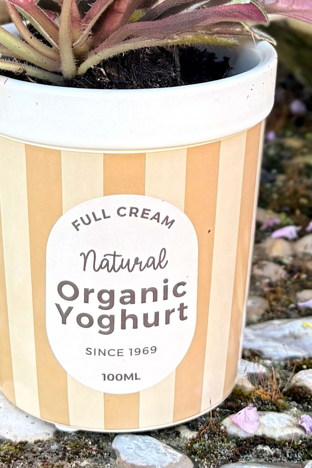 Tierra Jarrón Diseño Tarro De Yogur Cristina Oria