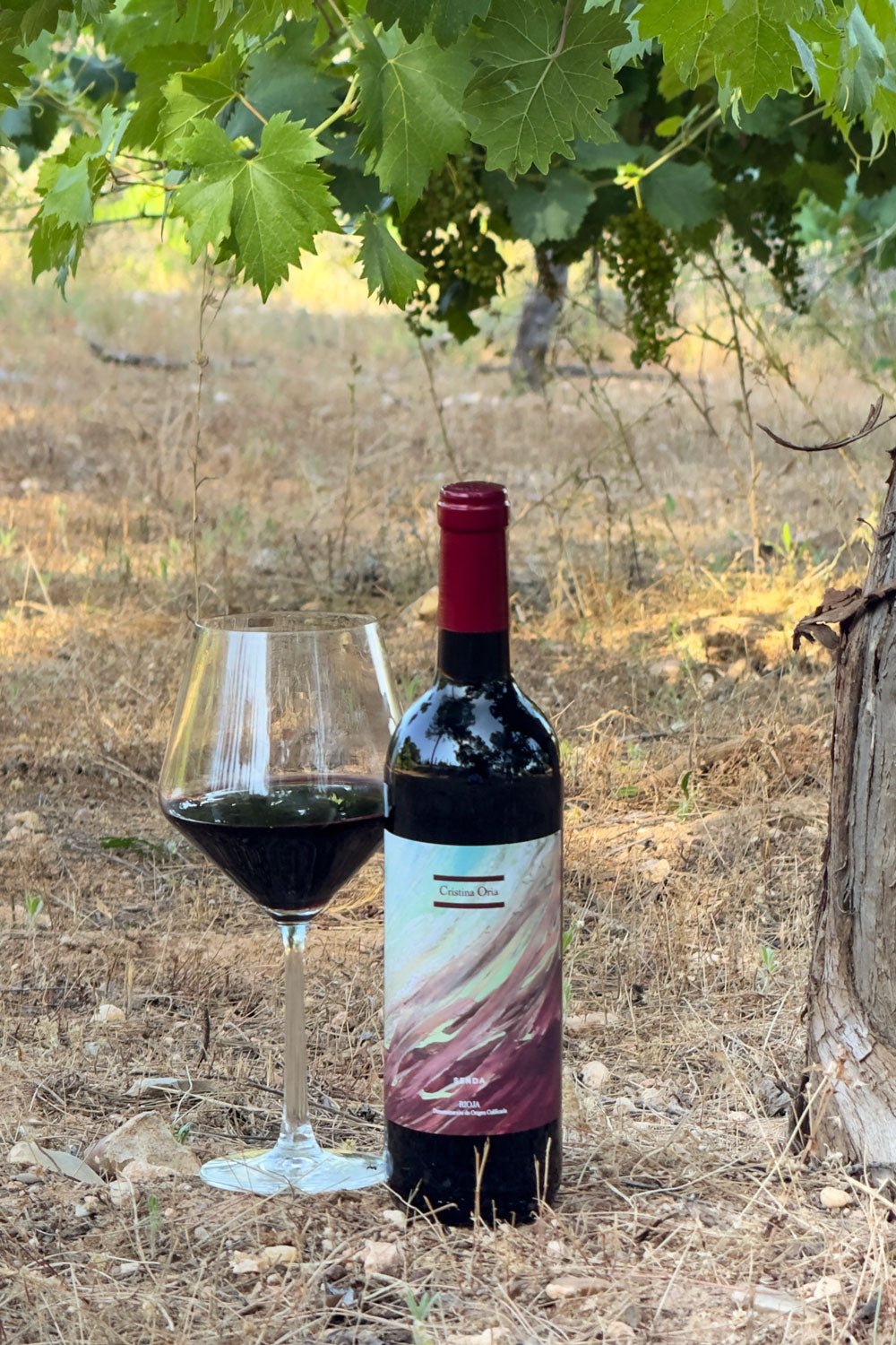 Detalle Campo Vino Tinto Senda Crianza 2021 Cristina Oria 