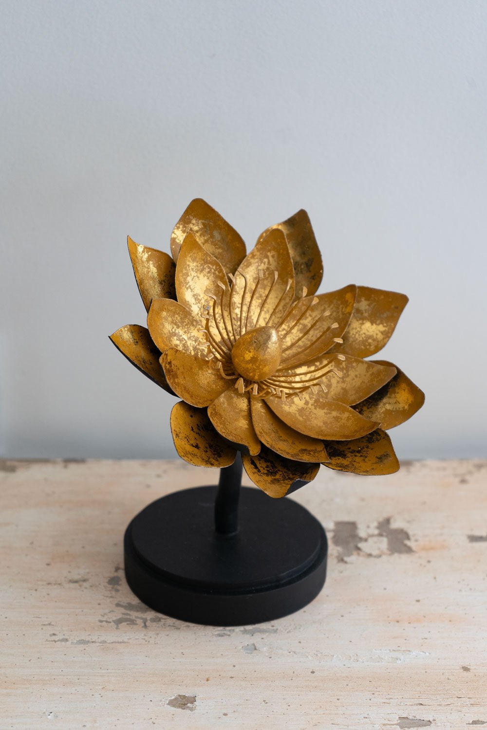 Dekoratives Blumen-Goldlilien-Design | Dekoration