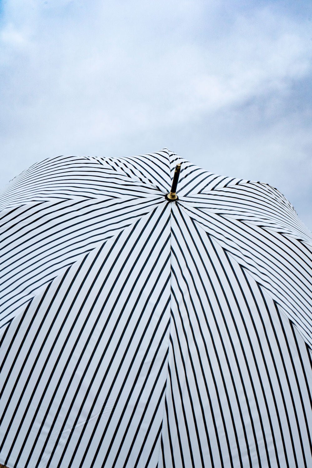 Paraguas Con Diseño De Rayas Blancas Y Negras