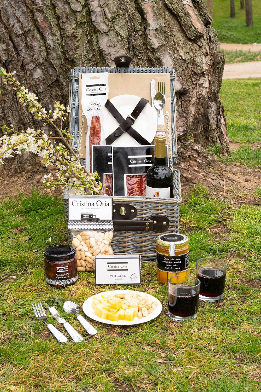 Cesta De Picnic Aperitivo Premium - Cristina Oria